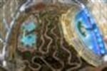 Foto - Berlin-Brandenburg - Tropical Islands - Německo