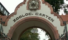Foto - Německo - ZOO Lipsko