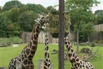 Foto - Německo - ZOO Lipsko