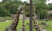 Foto - Německo - ZOO Lipsko
