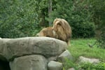 Foto - Německo - ZOO Lipsko