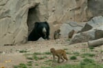 Foto - Německo - ZOO Lipsko