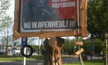 Foto - Zoologické zahrady Holandsko