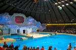 Foto - Zoologické zahrady Holandsko