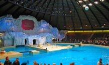 Foto - Zoologické zahrady Holandsko