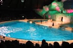 Foto - Zoologické zahrady Holandsko
