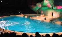 Foto - Zoologické zahrady Holandsko