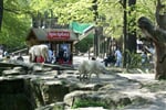 Foto - Německo - Zoologické zahrady Německo *