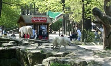 Foto - Německo - Zoologické zahrady Německo *