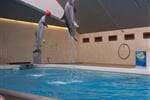 Foto - Německo - Zoologické zahrady Německo *