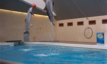 Foto - Německo - Zoologické zahrady Německo *