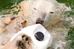 Foto - Německo - Zoologické zahrady Německo *