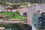 Foto - Německo - Zoologické zahrady Německo *