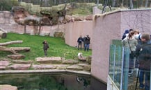 Foto - Německo - Zoologické zahrady Německo *