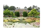 Foto - Německo - ZOO Wilhelma - Stuttgart