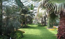 Foto - Německo - ZOO Wilhelma - Stuttgart