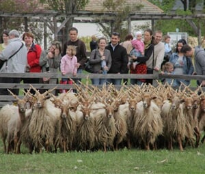 VELIKONOČNÍ BUDAPEŠŤ A SZENTENDRE