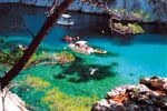 cassis