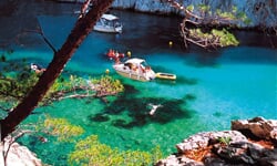 cassis