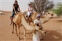 Dubaj se safari a výlety - hotel Cassells Al Barsha 4*