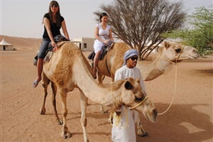 Dubaj se safari a výlety - hotel Cassells Al Barsha 4*