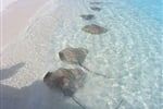 Foto - North Male Atoll - Baros Maldives *****