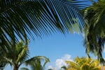 Foto - North Male Atoll - Coco Palm Bodu Hithi *****