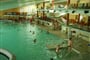 Therme Laa - Autobus, Bez stravy