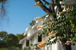 Barbados - St. James - Almond Beach Club & Spa***+