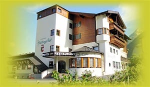 Lofer - lyžování v Alpách - hotel - děti zdarma - skipas v ceně / č. 6012