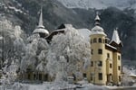 Mohrenwinter
