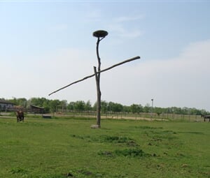 NEZIDERSKÉ JEZERO