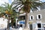 Podgora - Delfina