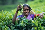 sri-lanka-cejlon-01