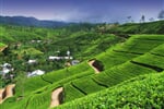 sri-lanka-cejlon-03