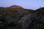 spanelsko-kanarske-ostrovy-tenerife-10