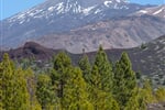 spanelsko-kanarske-ostrovy-tenerife-18.JPG