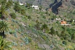 spanelsko-kanarske-ostrovy-tenerife-24.JPG