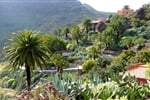 spanelsko-kanarske-ostrovy-tenerife-25.JPG