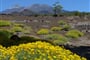 Tenerife - turistika mezi sopkami a exotickými soutěskami