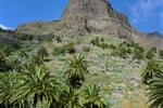 spanelsko-kanarske-ostrovy-tenerife-4