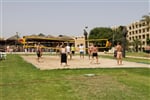 Volley