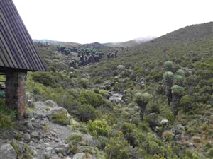 Výstup na Mt. Kenya - cesta Sirimon / Chogoria - 8 dní