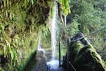 Madeira a jeji typické levády
