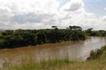 DSC02951