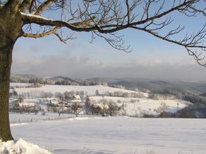 DOBROŠOV 4