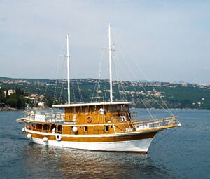 011 Dalmatinka