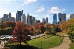 New York City a Washington D. C.