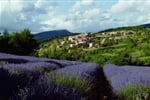 Plavba jižní Francií po Rhône (5 nocí)