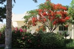 Foto - Umm Al Quwain - Umm Al Quwain Beach Hotel ***+